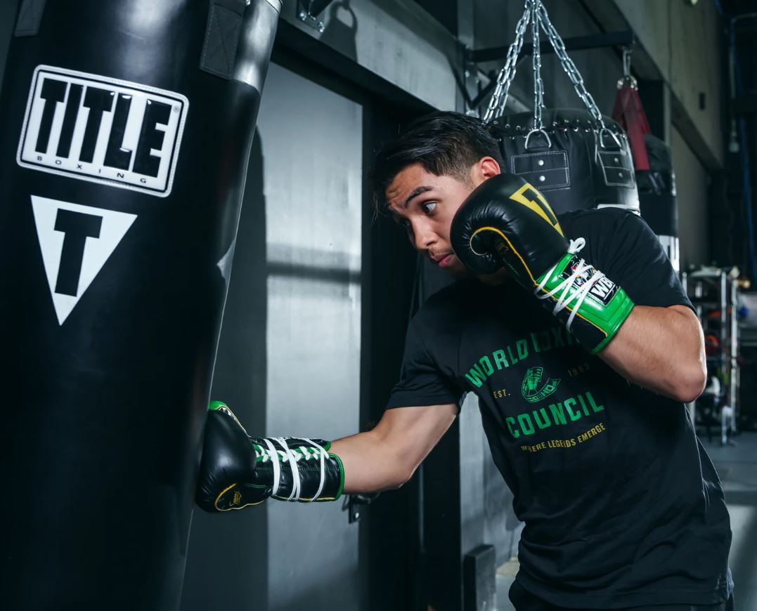 GUANTES TITLE WBC SPARRING NEGRO